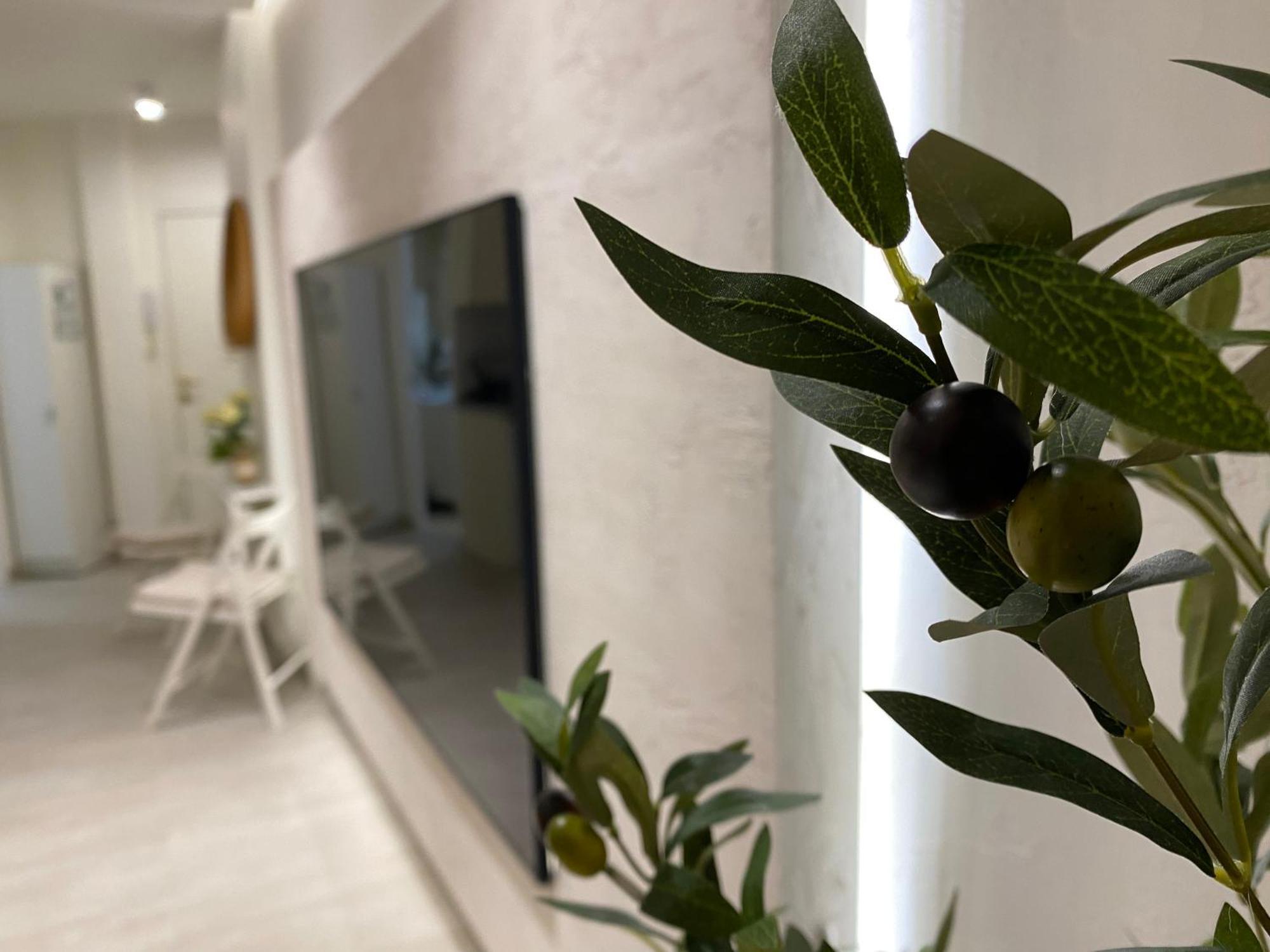 Studio With Views Next To Puerto Marina The Green Door Benalmádena Buitenkant foto